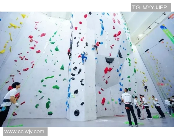 杭州攀岩队在世界攀岩锦标赛中的技术表现分析与点评