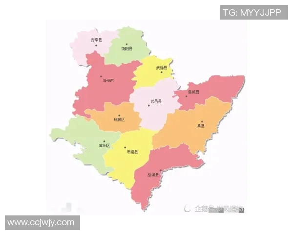 滑板力量实力榜单权威发布揭示顶尖选手风采与实力对比